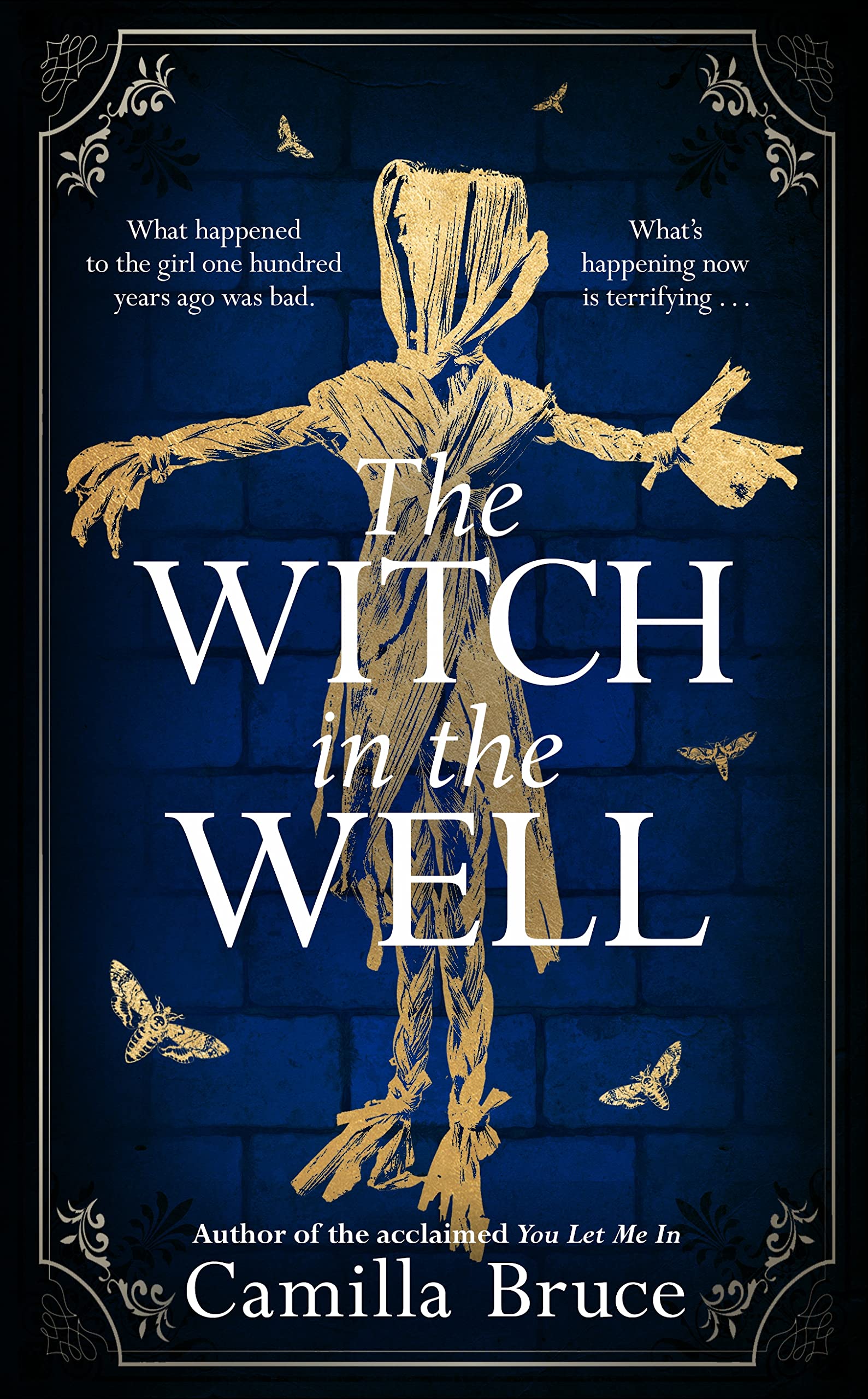 The Witch in the Well book cover