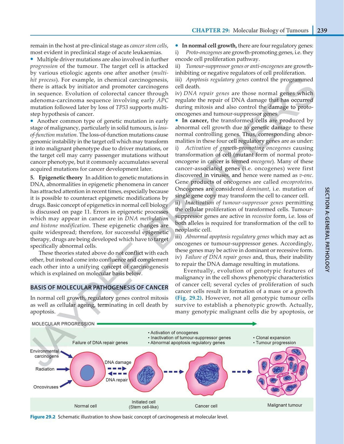 Essential Pathology for Dental Students, 6/E for BDS 2nd Year Students | Dental Pathology Textbook as per DCI Syllabus with Free Practical Pathology Book | Key Points and Chapter Orientation Boxes: 1