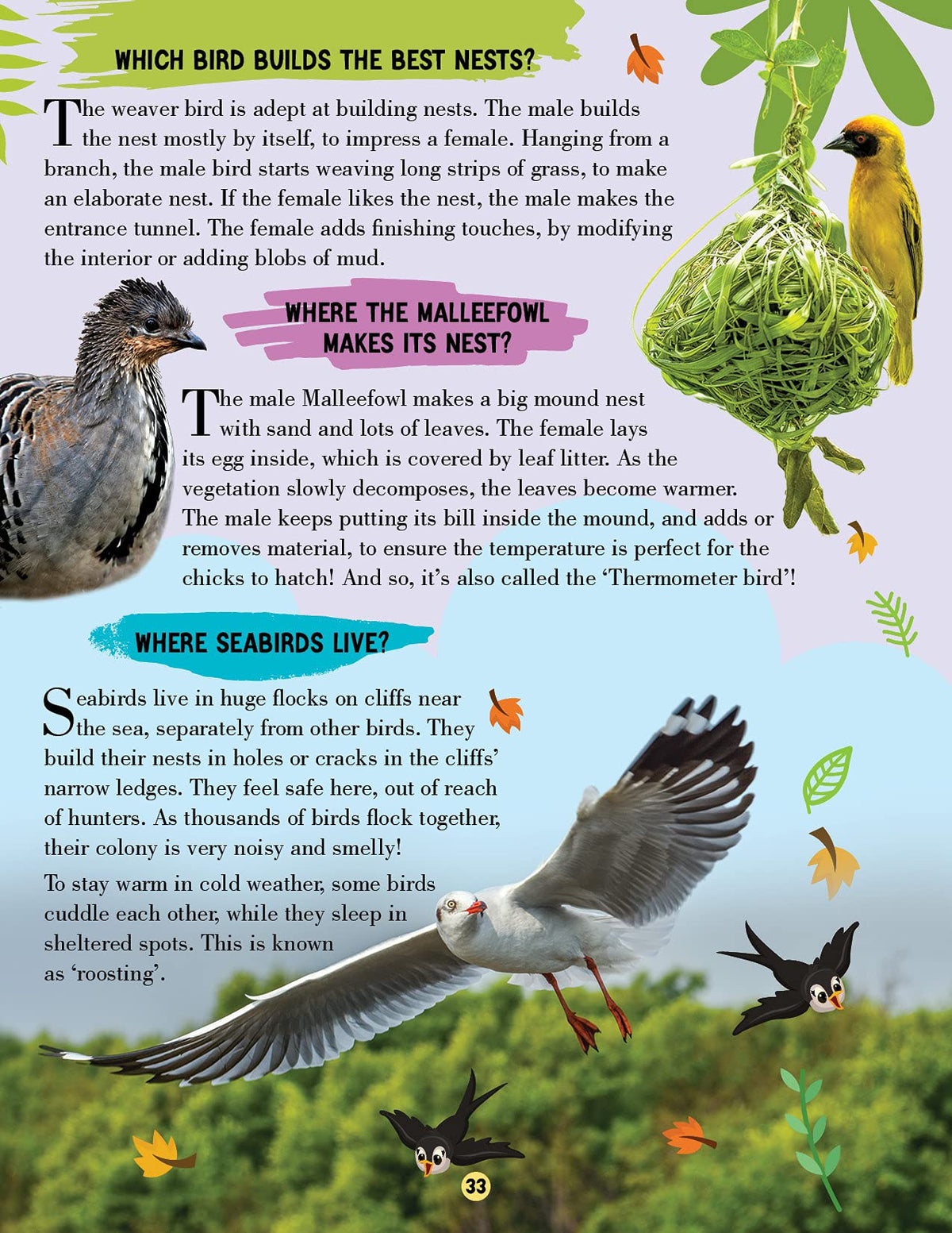 Animal World Children Encyclopedia for Kids Age 5–15 Years | Illustrated Animal Encyclopedia with Fun Facts, Trivia Questions & Answers | Learn About Wildlife, Sea Creatures, Birds, Mammals, Insects, Reptiles & Amazing Animal Kingdom Discoveries