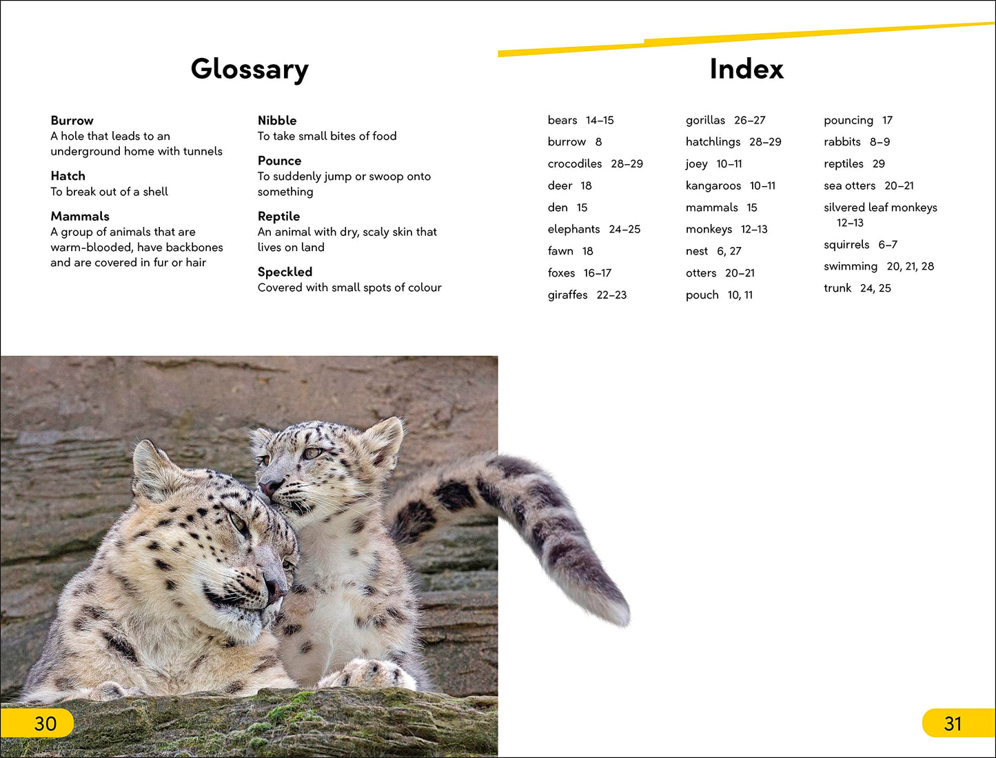 DK Super Readers Level 2 Wild Baby Animals book cover