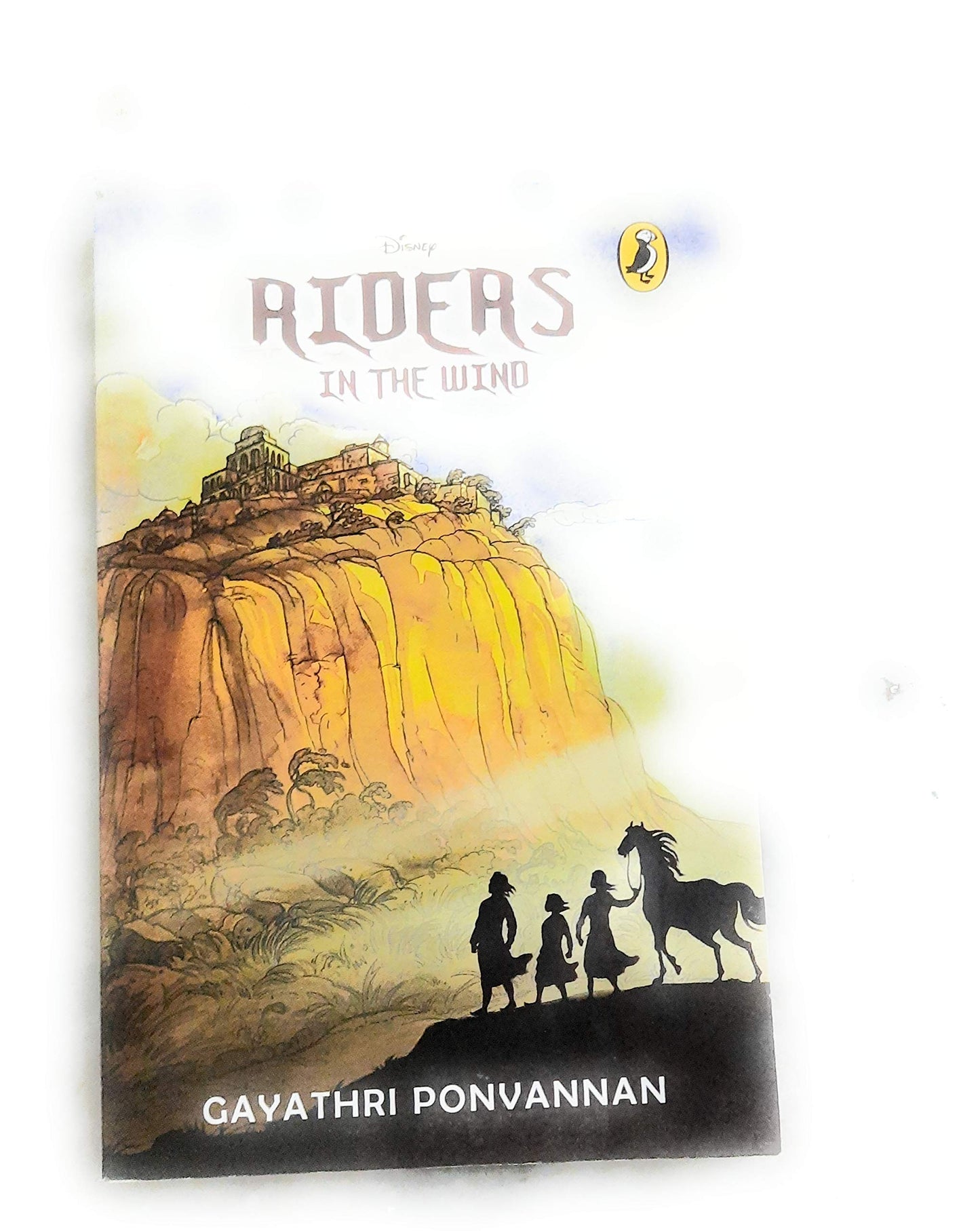 Riders in the Wind book cover