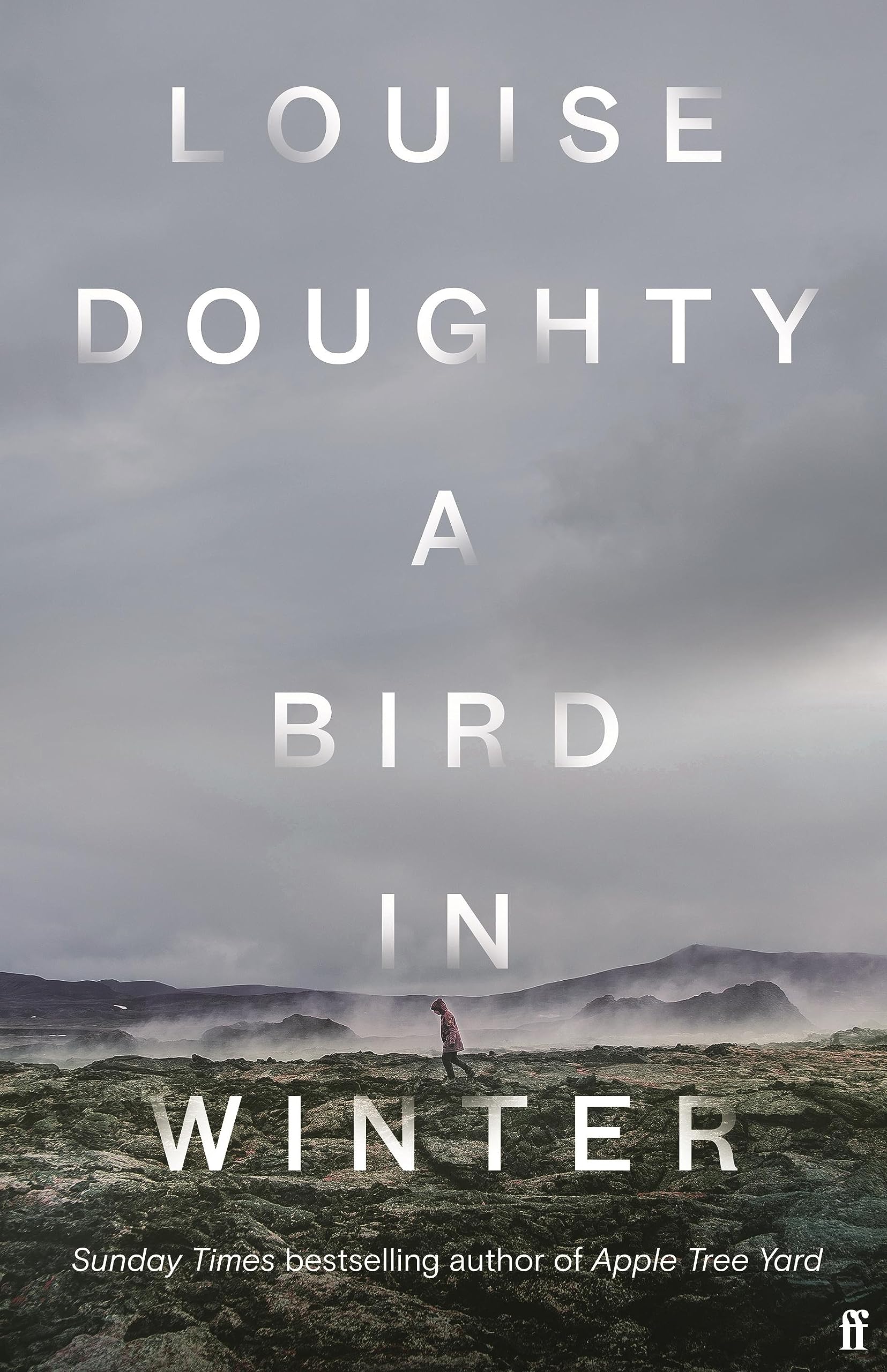 A Bird in Winter book cover