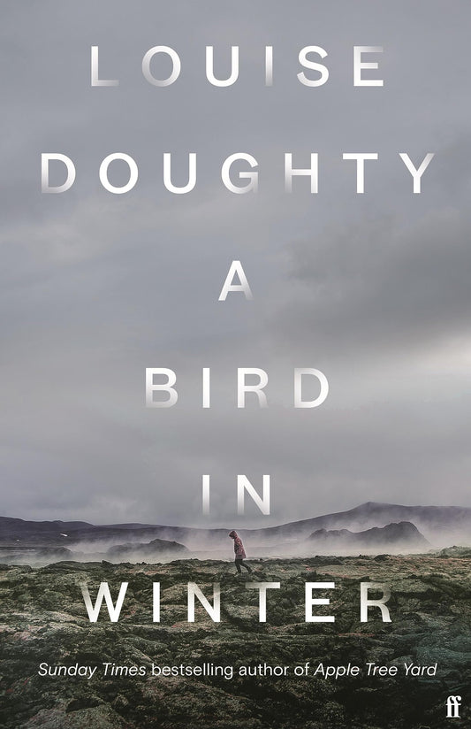 A Bird in Winter book cover