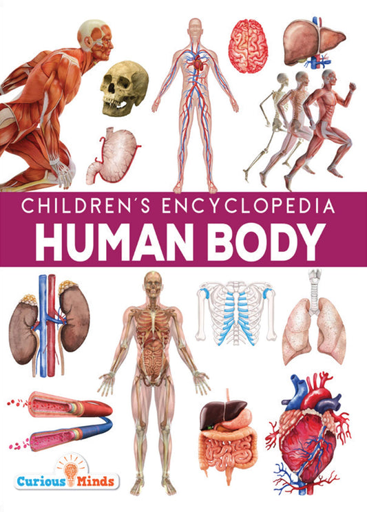 Human Body book cover