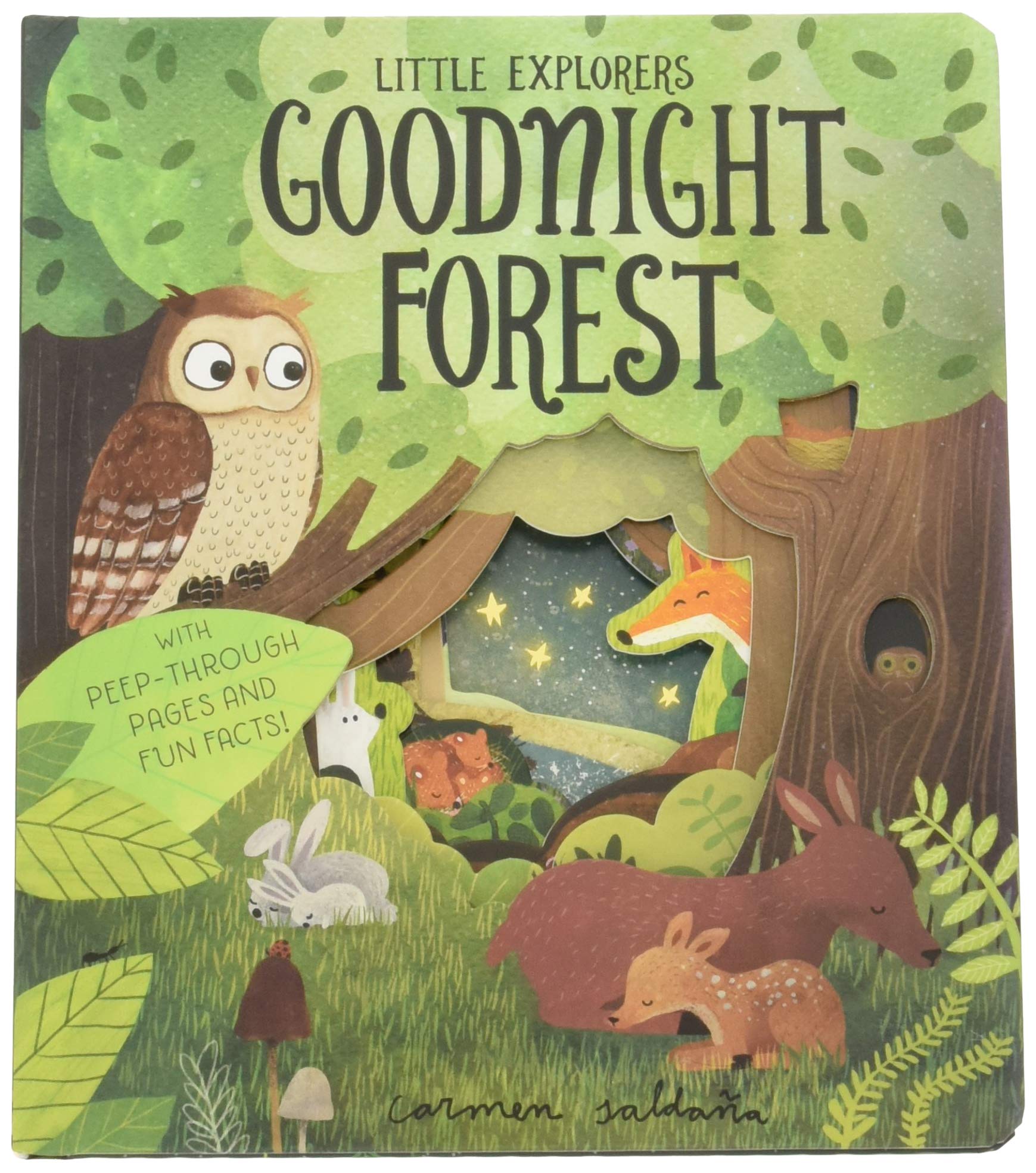 Goodnight Forest book cover