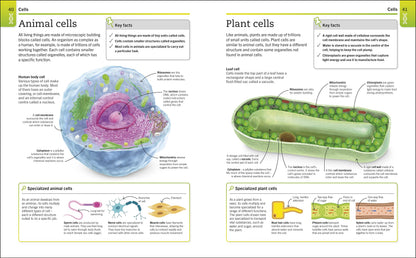 Super Simple Biology: The Ultimate Bitesize Study Guide