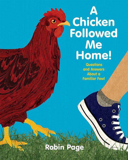 A Chicken Followed Me Home!: Questions and Answers about a Familiar Fowl by Robin Page (Author, Illustrator) book cover