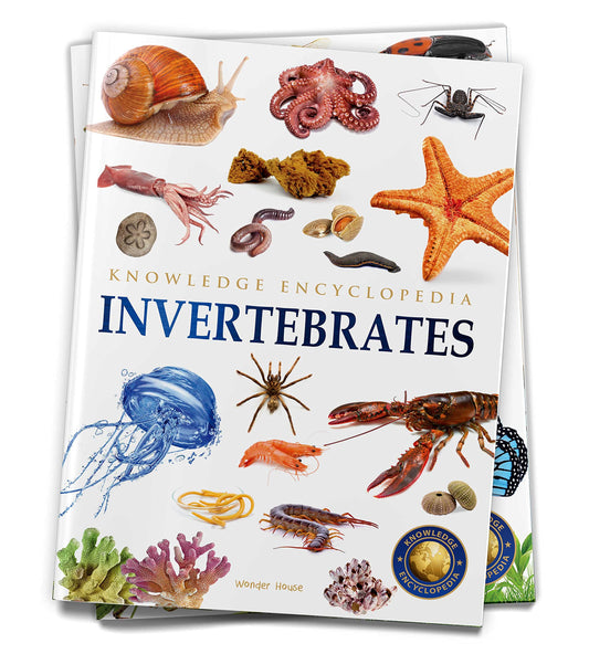 Animals - Invertebrates : Knowledge Encyclopedia For Children book cover