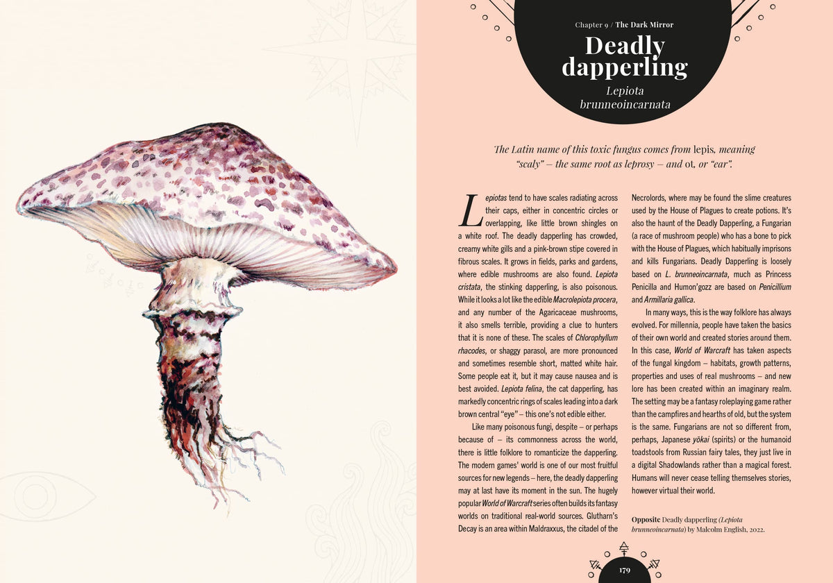 Kew - The Magic of Mushrooms: Fungi in folklore, superstition and traditional medicine (Royal Botanic Gardens, Kew)