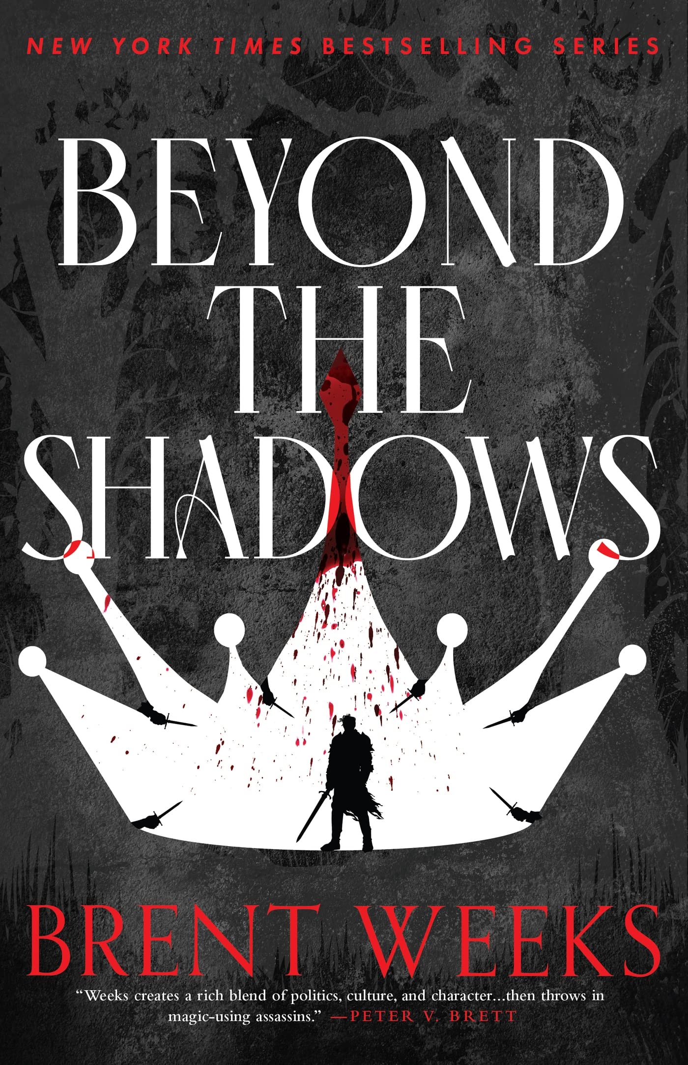 Beyond The Shadows book cover