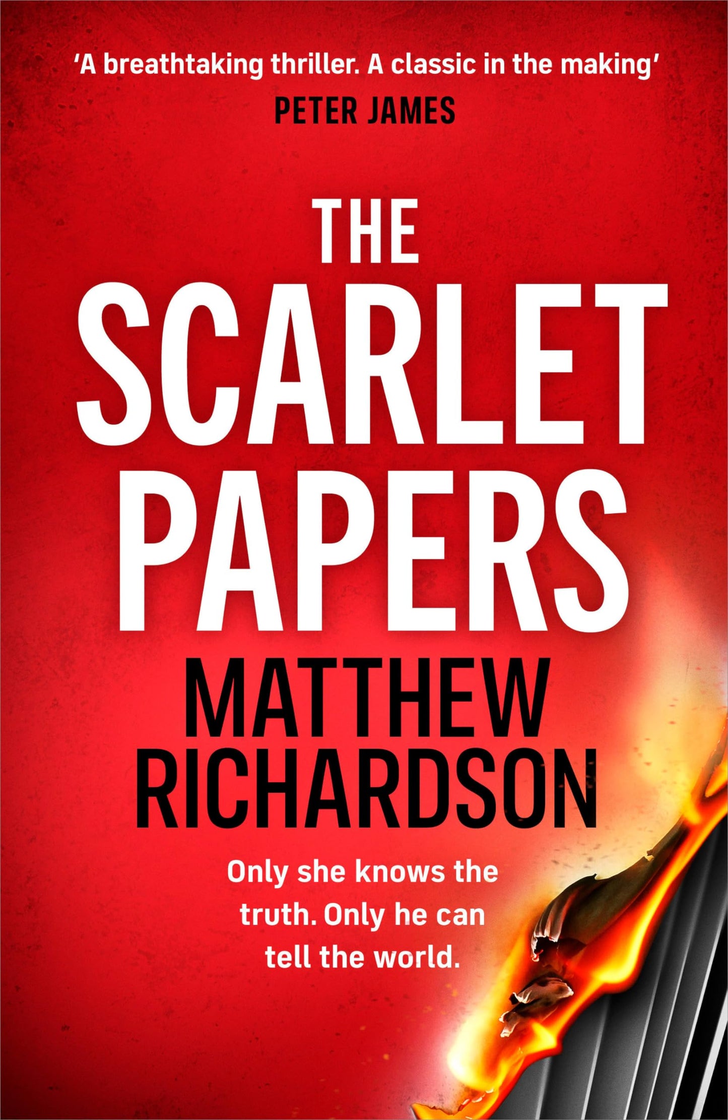 The Scarlet Papers book cover