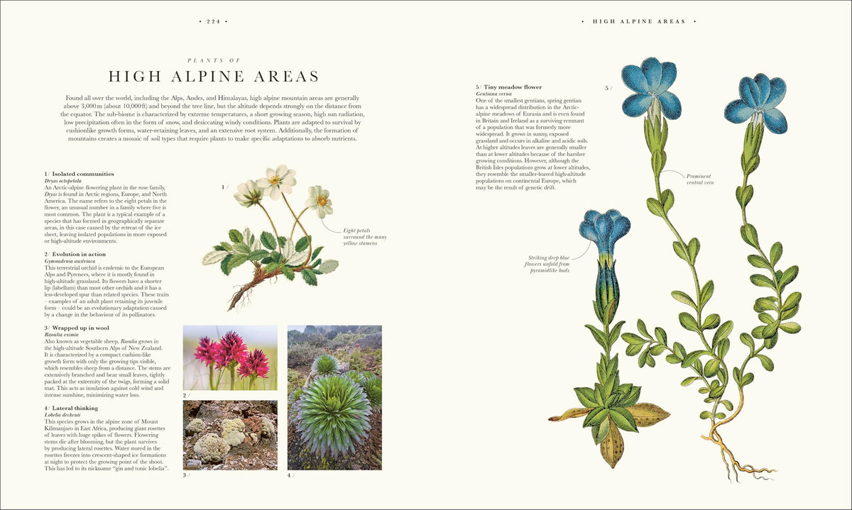 Atlas of Botany: An Exploration of Plants Across Time and Around the World