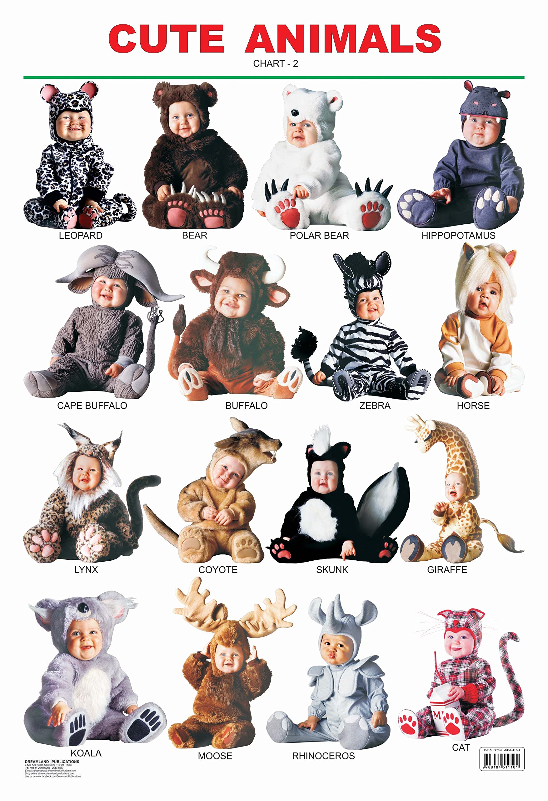 Cute Animals - 2. book cover
