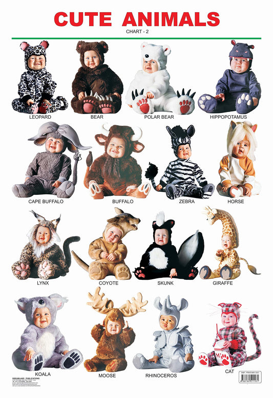 Cute Animals - 2. book cover