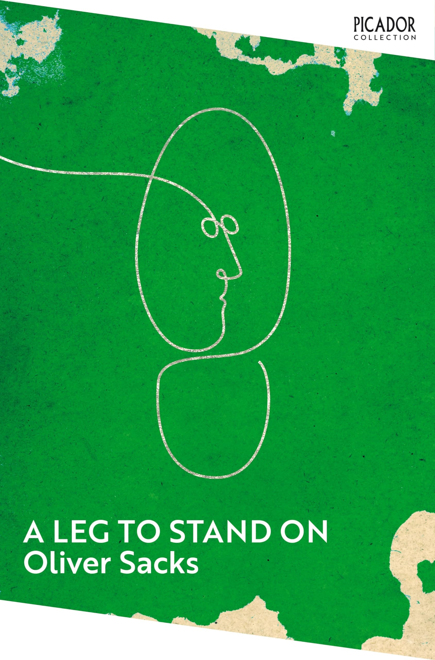 A Leg to Stand On book cover