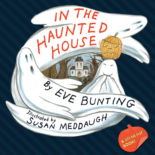 IN THE HAUNTED HOUSE TOUCH & FEEL LIFT THE FLAP BOOK book cover