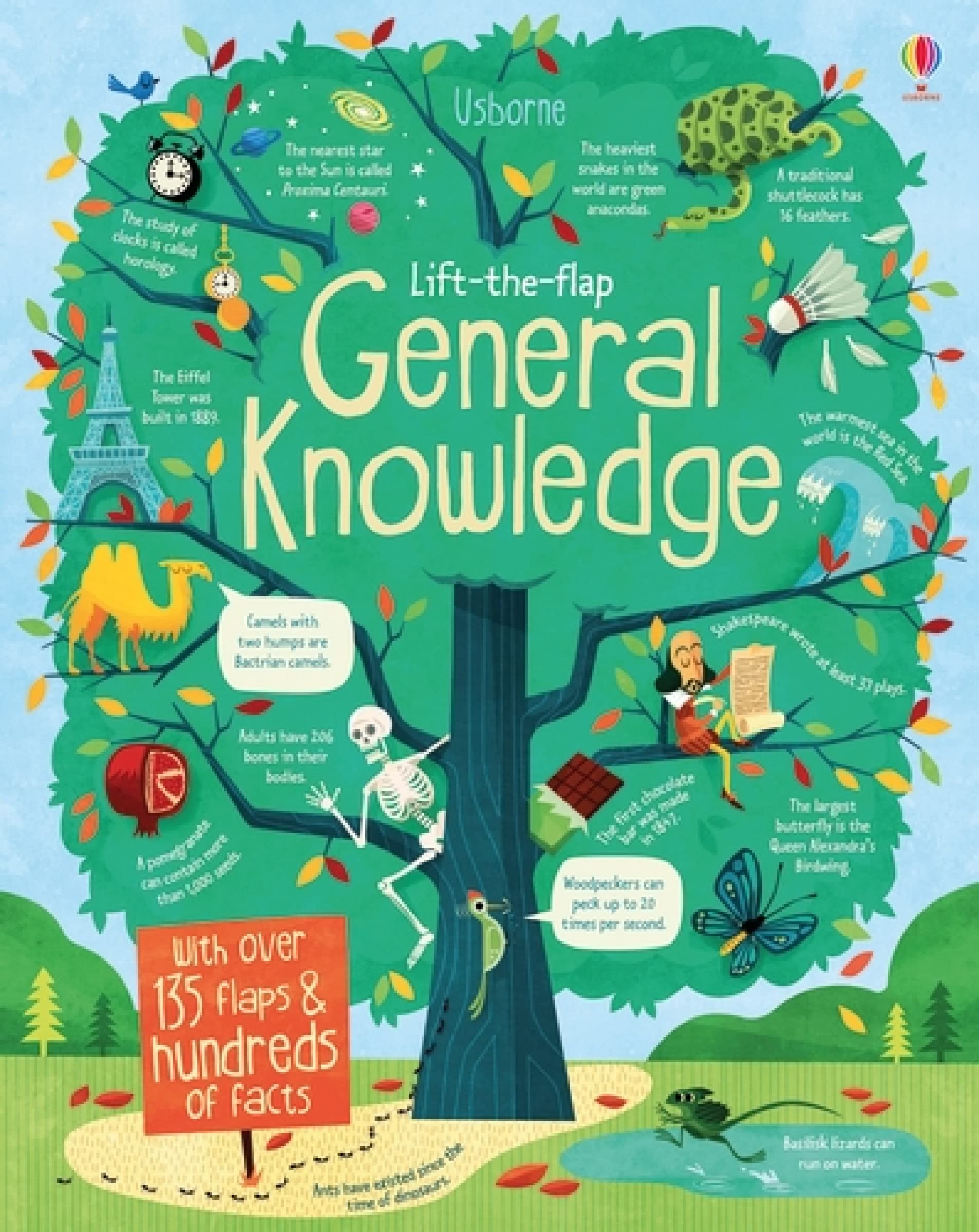 Lift The Flap General Knowledge (See Inside) by Alex Frith (Author), James Maclaine (Author), Marco Palmieri (Illustrator) & 0 More book cover