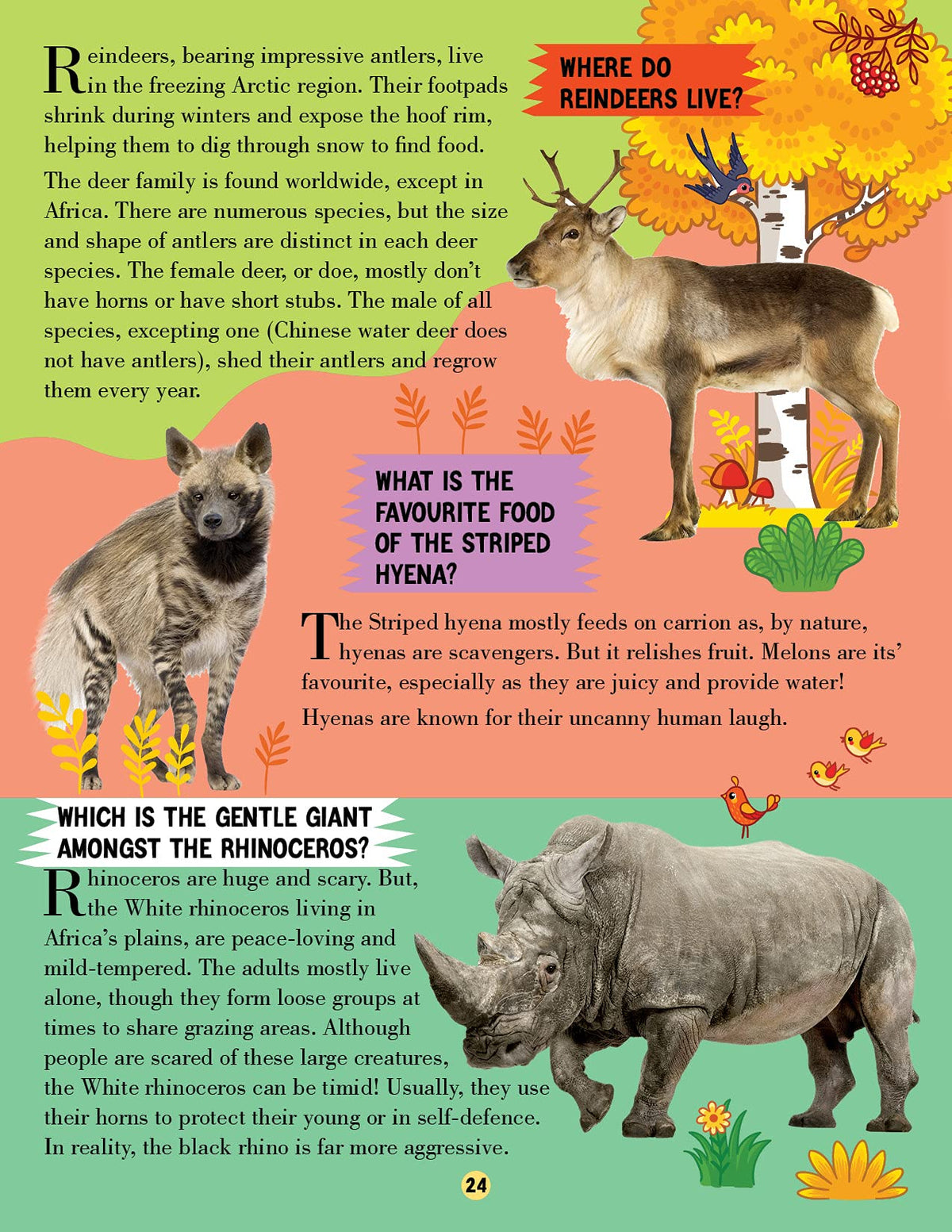 Animal World Children Encyclopedia for Kids Age 5–15 Years | Illustrated Animal Encyclopedia with Fun Facts, Trivia Questions & Answers | Learn About Wildlife, Sea Creatures, Birds, Mammals, Insects, Reptiles & Amazing Animal Kingdom Discoveries