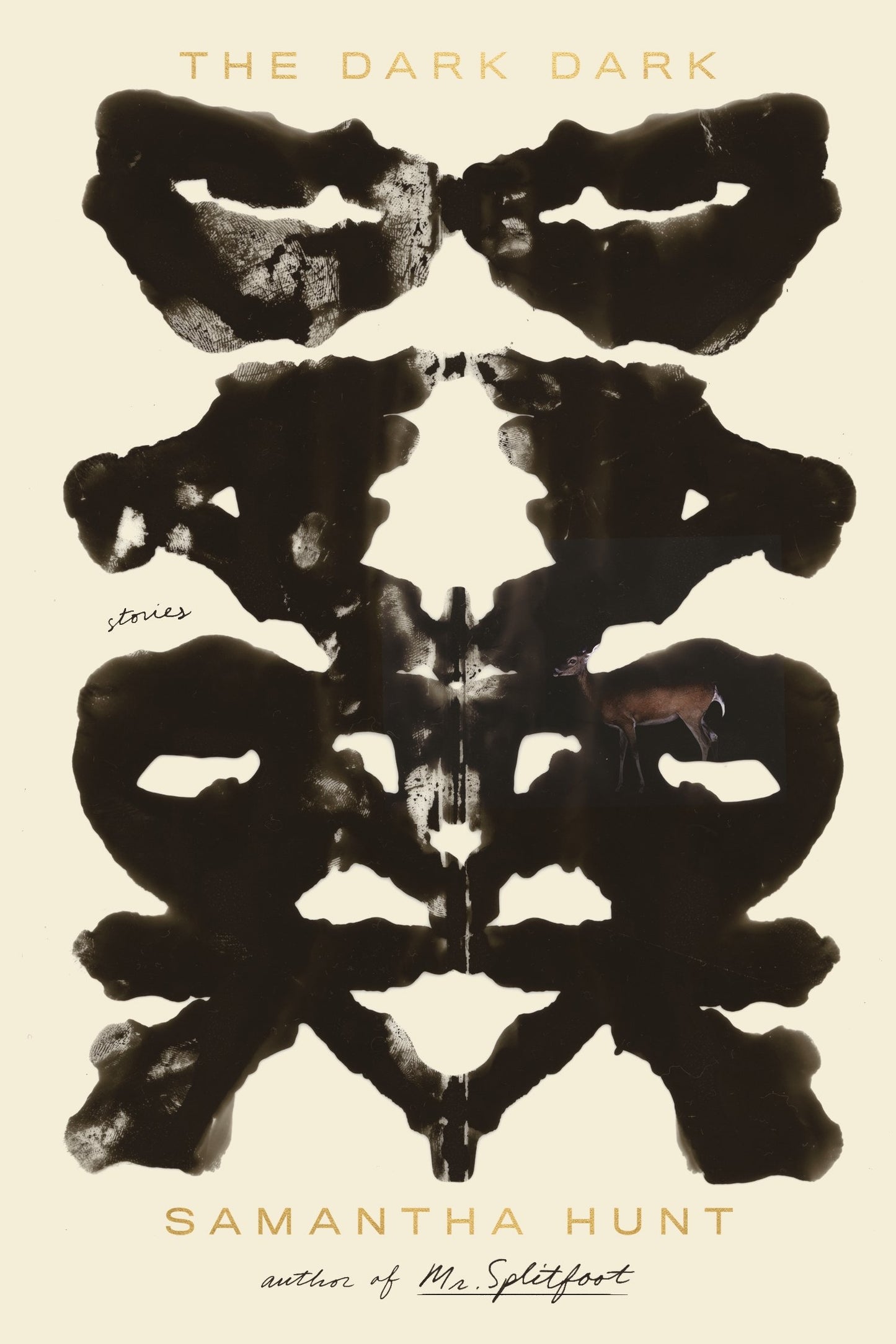 DARK DARK: STORIES book cover