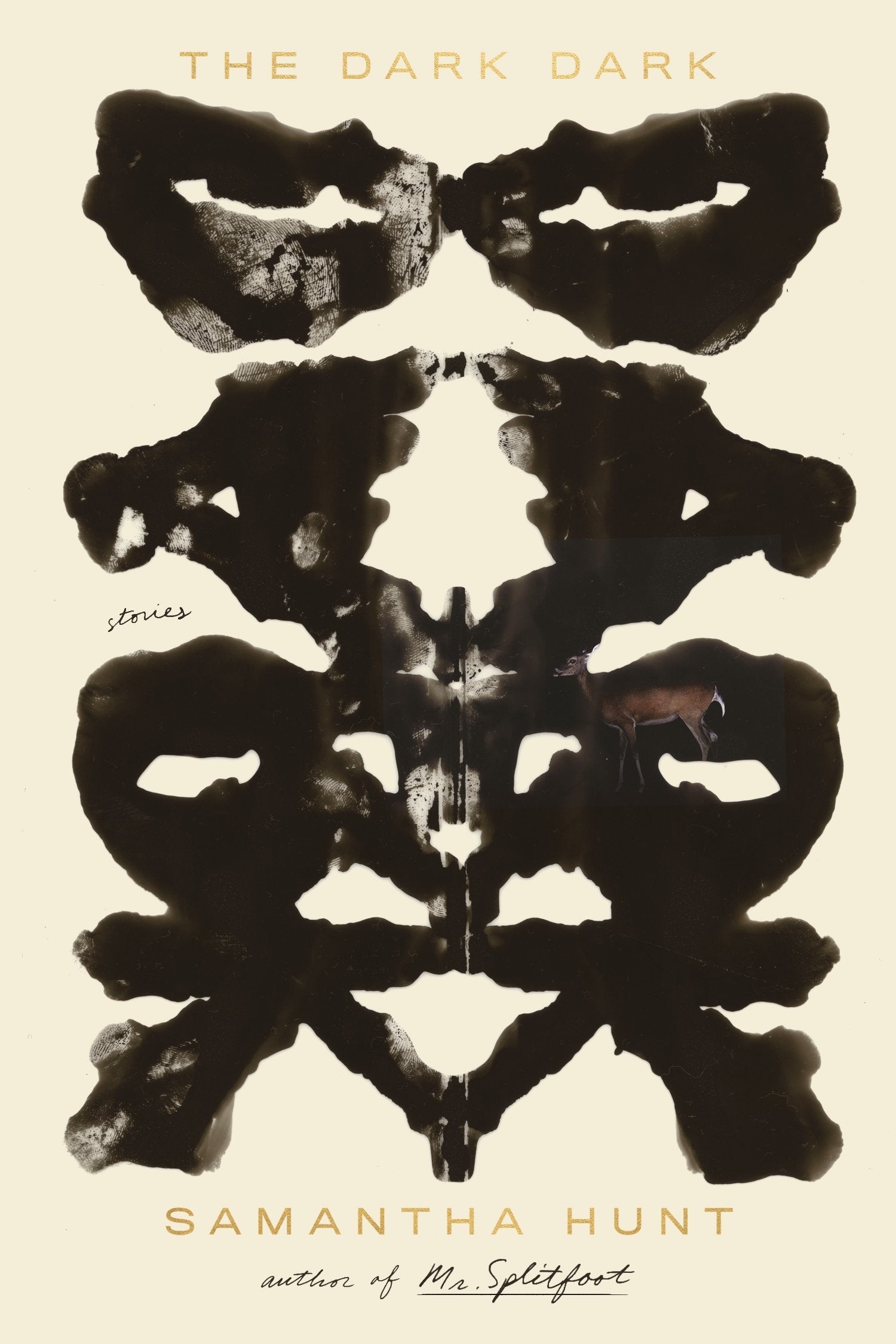 DARK DARK: STORIES book cover