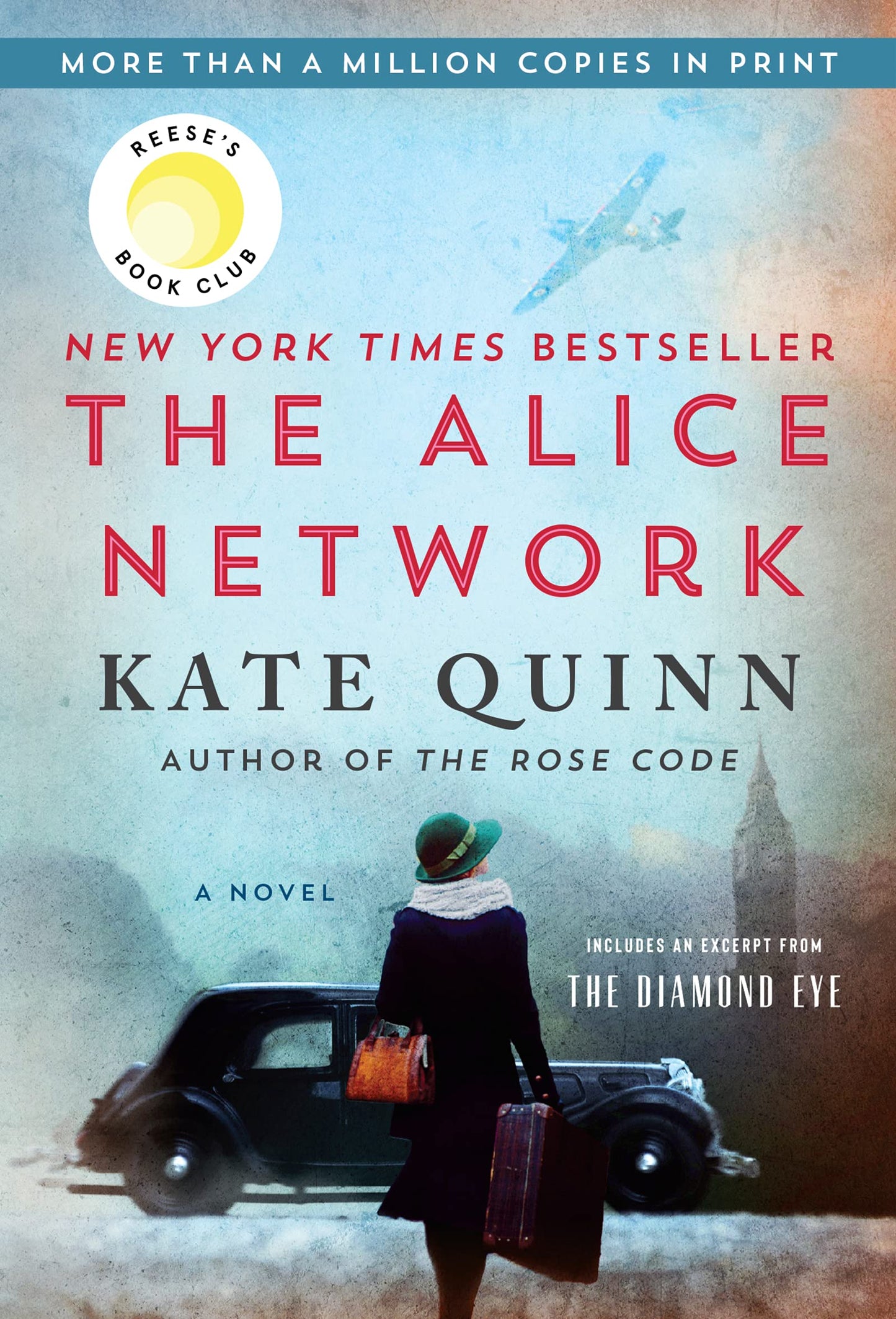ALICE NETWORK, THE book cover