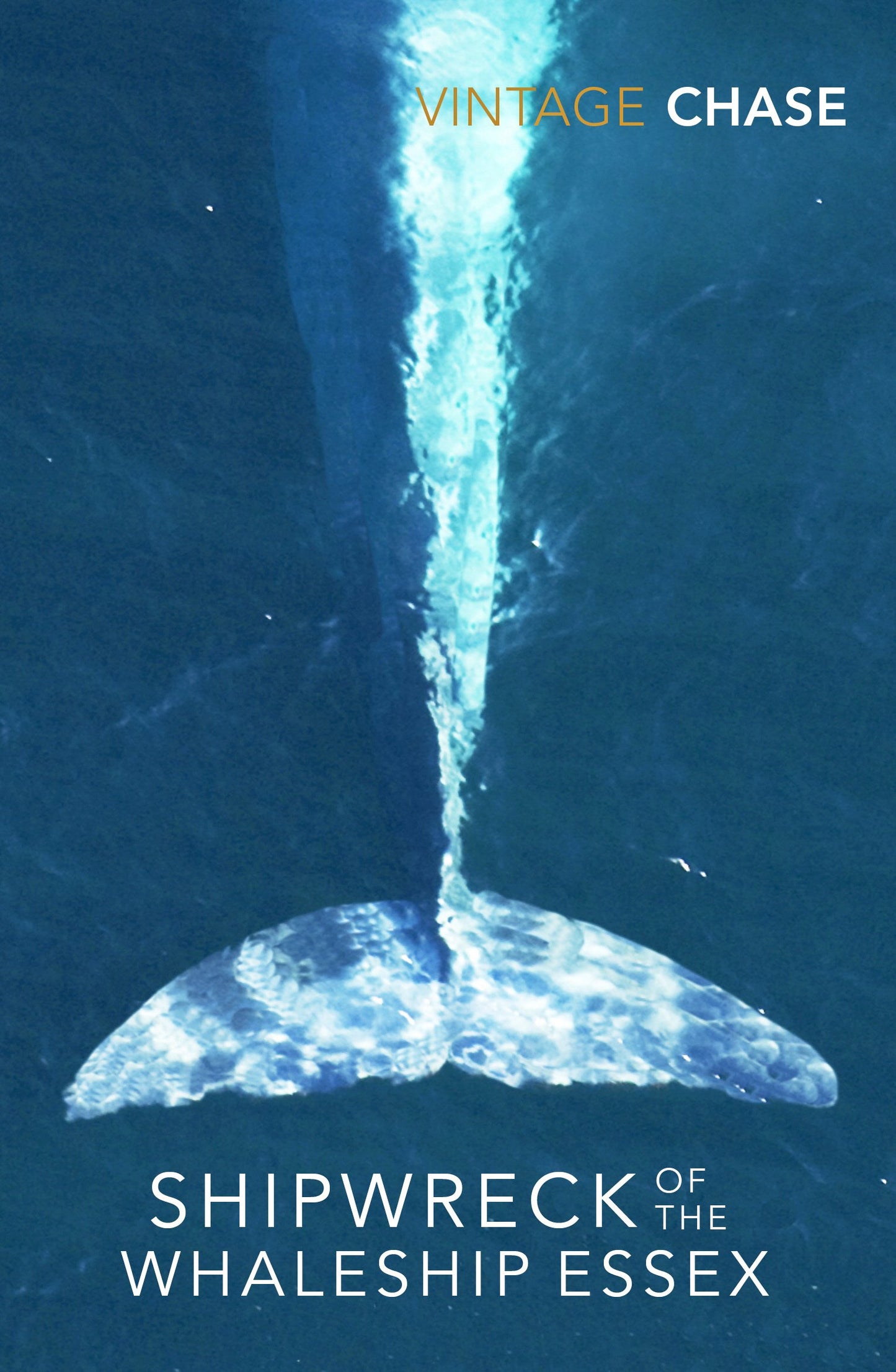 Shipwreck Of The Whaleship Essex book cover