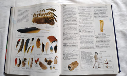 Illustrated Oxford Dictionary