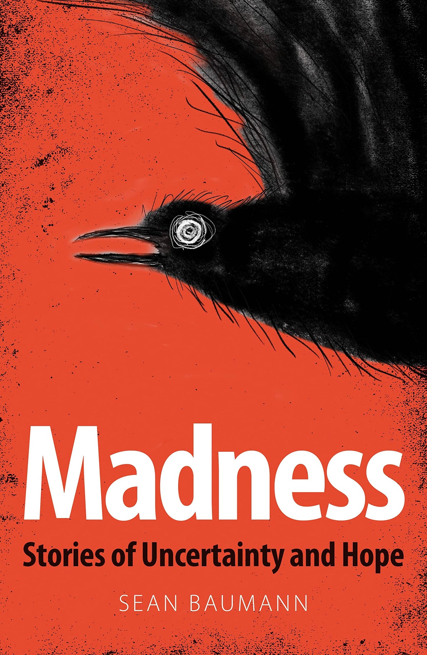 Madness book cover