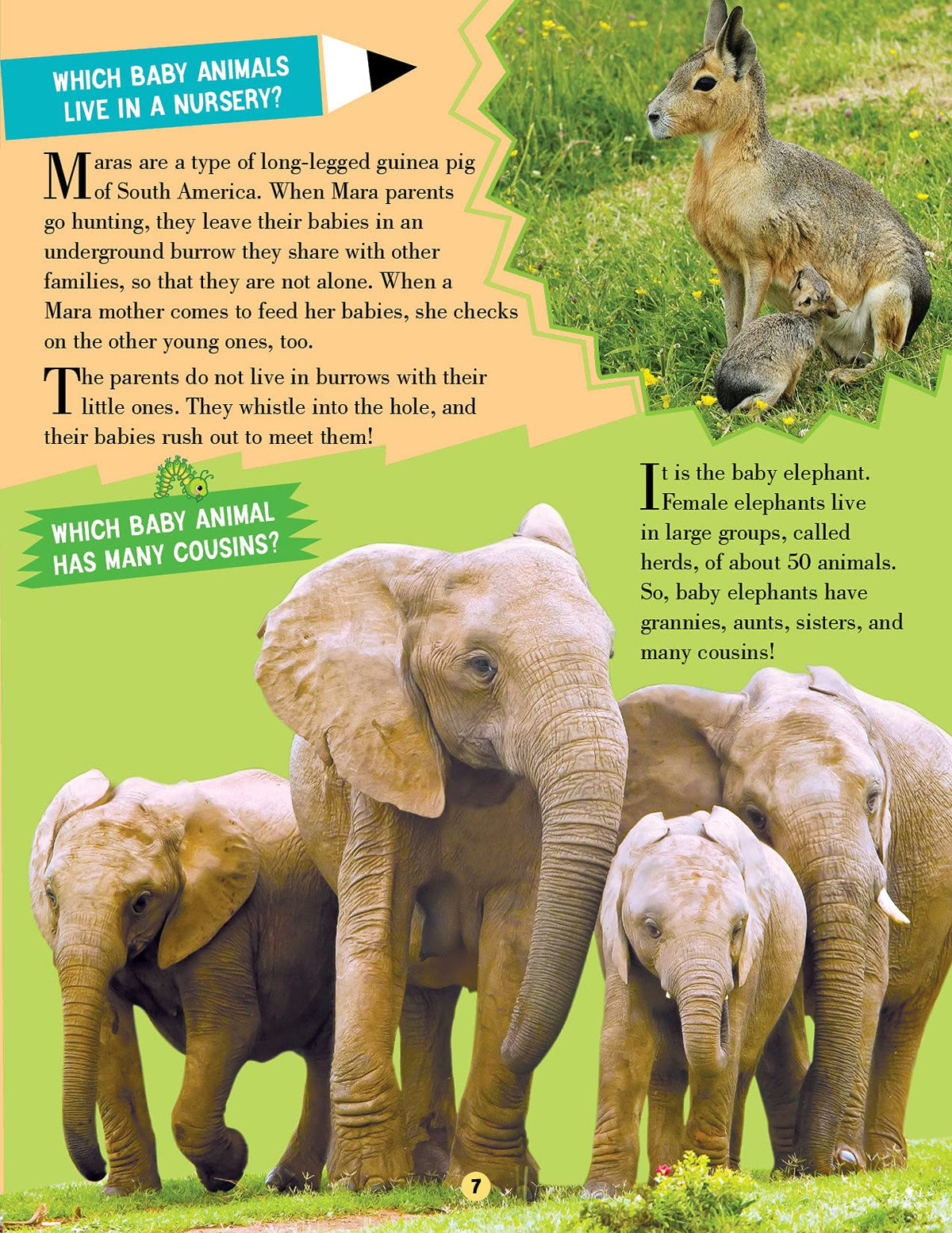 Animal World Children Encyclopedia for Kids Age 5–15 Years | Illustrated Animal Encyclopedia with Fun Facts, Trivia Questions & Answers | Learn About Wildlife, Sea Creatures, Birds, Mammals, Insects, Reptiles & Amazing Animal Kingdom Discoveries