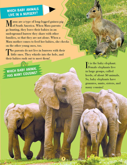 Animal World Children Encyclopedia for Kids Age 5–15 Years | Illustrated Animal Encyclopedia with Fun Facts, Trivia Questions & Answers | Learn About Wildlife, Sea Creatures, Birds, Mammals, Insects, Reptiles & Amazing Animal Kingdom Discoveries
