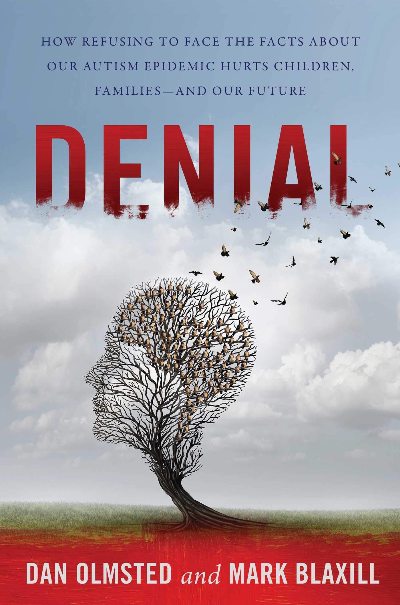 Denial book cover
