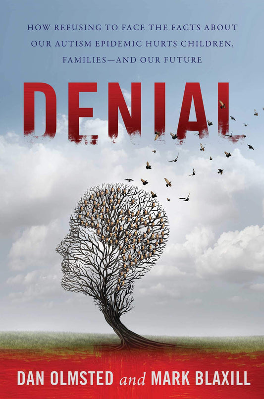 Denial book cover