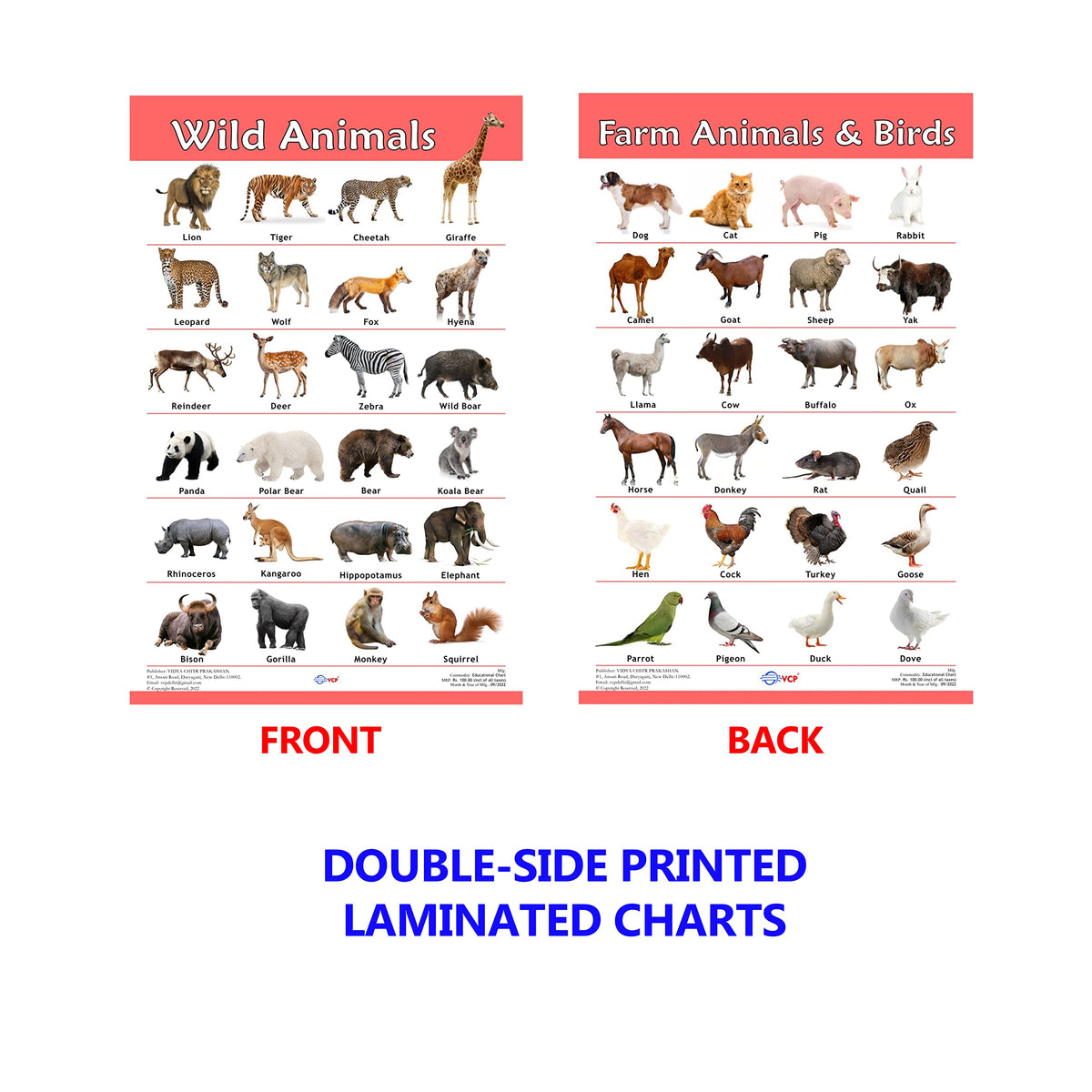 VCP Early Learning Educational Chart Set for Kids | Set of 12 LAMINATED Paper Charts (Printed on Both Sides) | Non-Tearable and Waterproof | Size : 31 x 46 cm | Alphabet, Numbers, Animals..