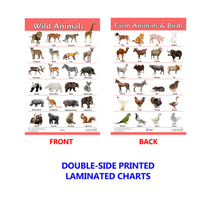 VCP Early Learning Educational Chart Set for Kids | Set of 12 LAMINATED Paper Charts (Printed on Both Sides) | Non-Tearable and Waterproof | Size : 31 x 46 cm | Alphabet, Numbers, Animals..