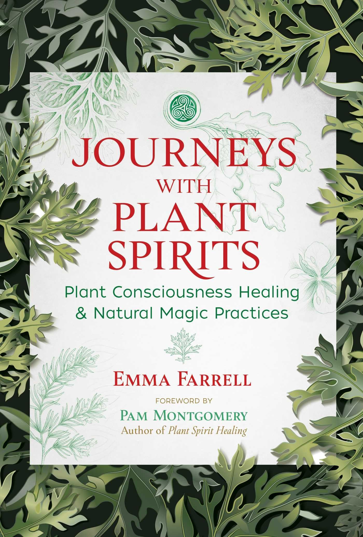 JOURNEYS WITH PLANT SPIRITS book cover