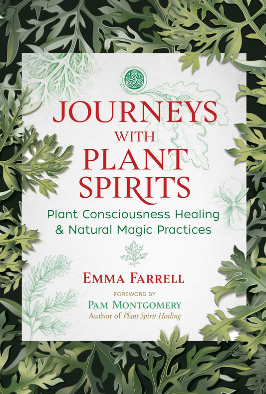 JOURNEYS WITH PLANT SPIRITS book cover
