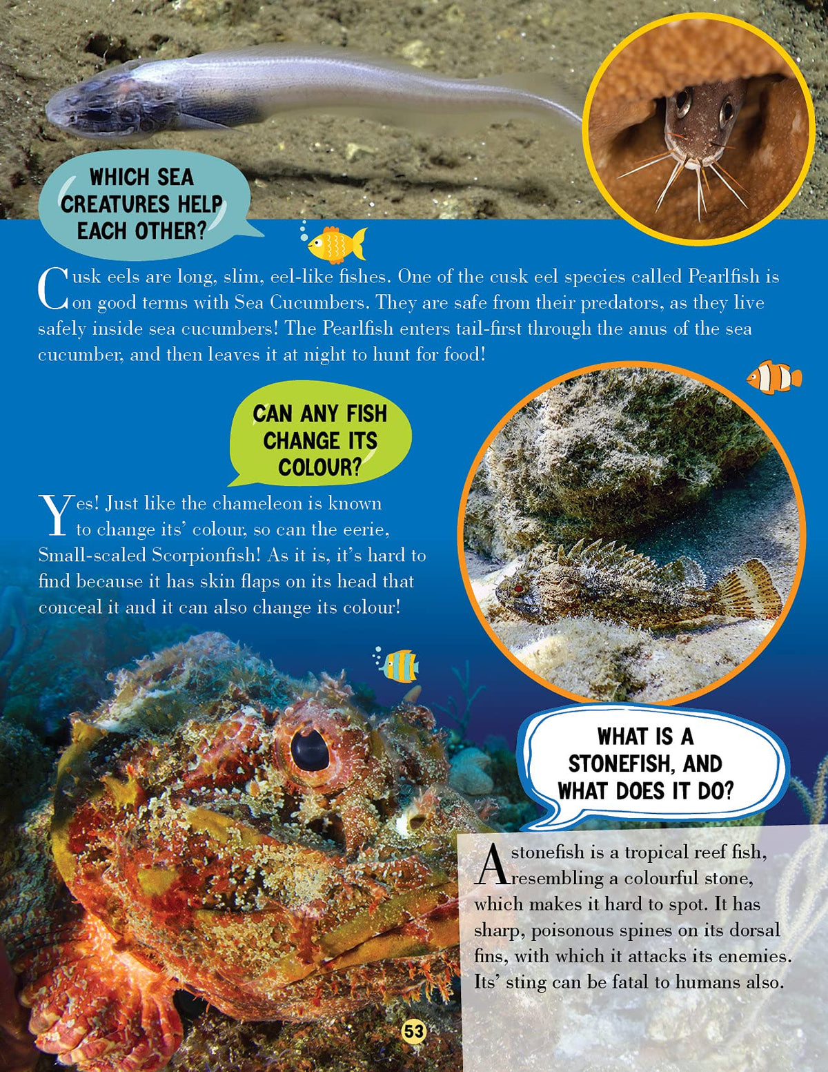 Animal World Children Encyclopedia for Kids Age 5–15 Years | Illustrated Animal Encyclopedia with Fun Facts, Trivia Questions & Answers | Learn About Wildlife, Sea Creatures, Birds, Mammals, Insects, Reptiles & Amazing Animal Kingdom Discoveries