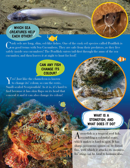 Animal World Children Encyclopedia for Kids Age 5–15 Years | Illustrated Animal Encyclopedia with Fun Facts, Trivia Questions & Answers | Learn About Wildlife, Sea Creatures, Birds, Mammals, Insects, Reptiles & Amazing Animal Kingdom Discoveries