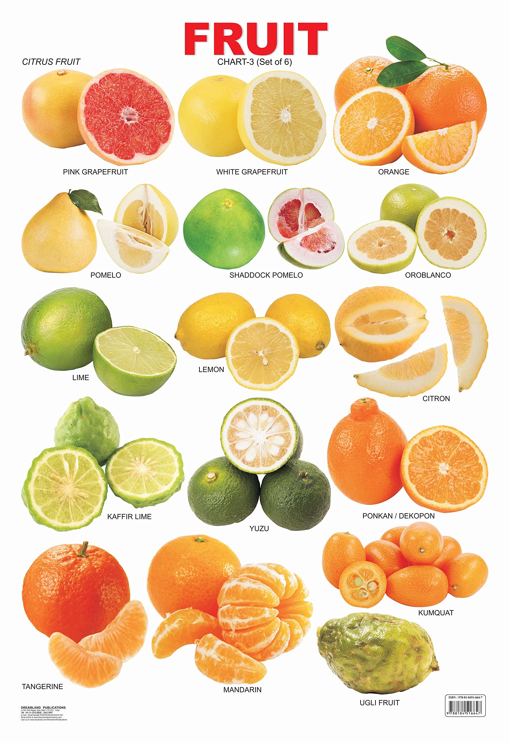 Fruit Chart - 3 book cover