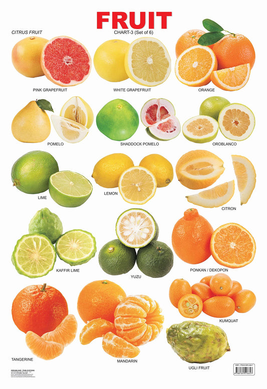 Fruit Chart - 3 book cover