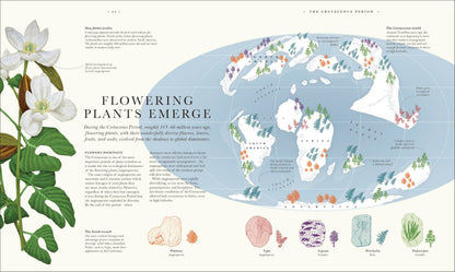 Atlas of Botany: An Exploration of Plants Across Time and Around the World