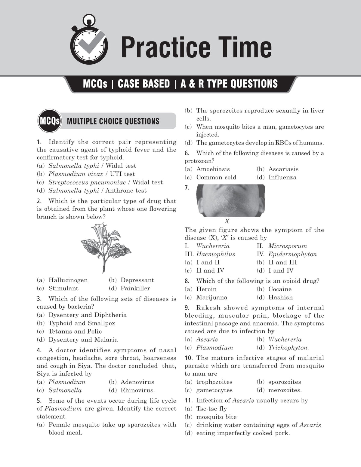 MTG CBSE Class 12 Chapterwise Question Bank Biology For 2027 Board Exam | Based on Latest CBSE Syllabus with 1300+ Questions