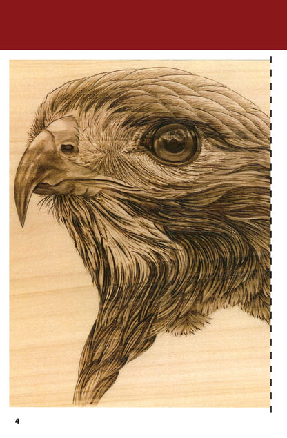 Pyrography Workshop with Sue Walters: Hawk Portrait Step-by-Step Woodburning Tutorial and Beginner's Guide (Fox Chapel Publishing) 2-DVD Set with 16-Page Booklet, Patterns, and Reference Photography