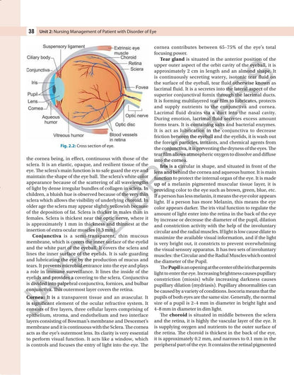 Adult Health Nursing-II: Medical Surgical Nursing, 2/E for BSc Nursing 4th Semester Students | As per Revised INC Syllabus with Comparative Tables, Colour Illustrations, PYQ MCQs and Flash Cards