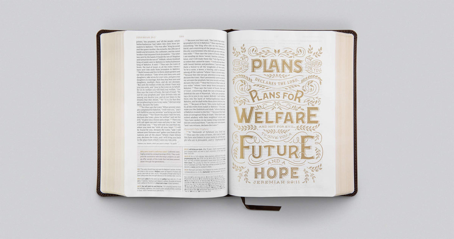 ESV Women's Study Bible (Trutone, Deep Brown)
