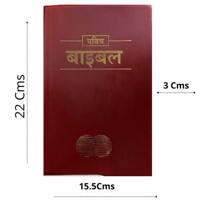 Hindi Holy Bible Easy-To-Read Version (ERV) | Revised Vinyl Bound Paperback | Old & New Testament Complete Bible | Simple Hindi Translation | Clear & ... for Prayer, Study & Gifting (2019 Revised)