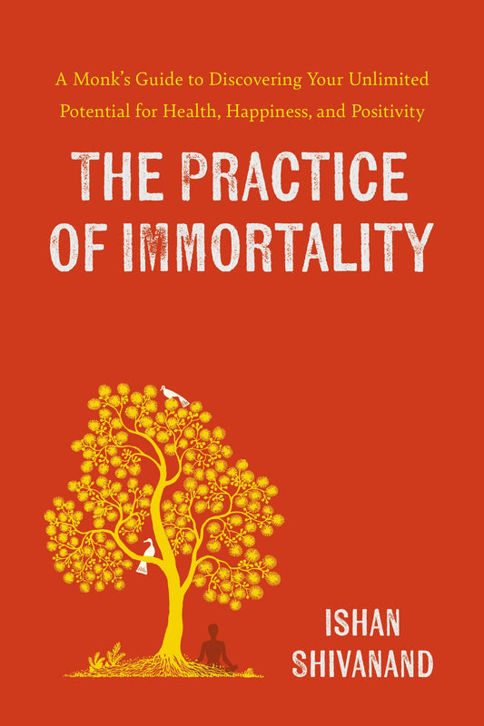 practice-of-immortality-monks-guide