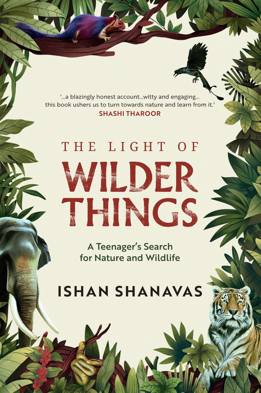 light-of-wilder-things