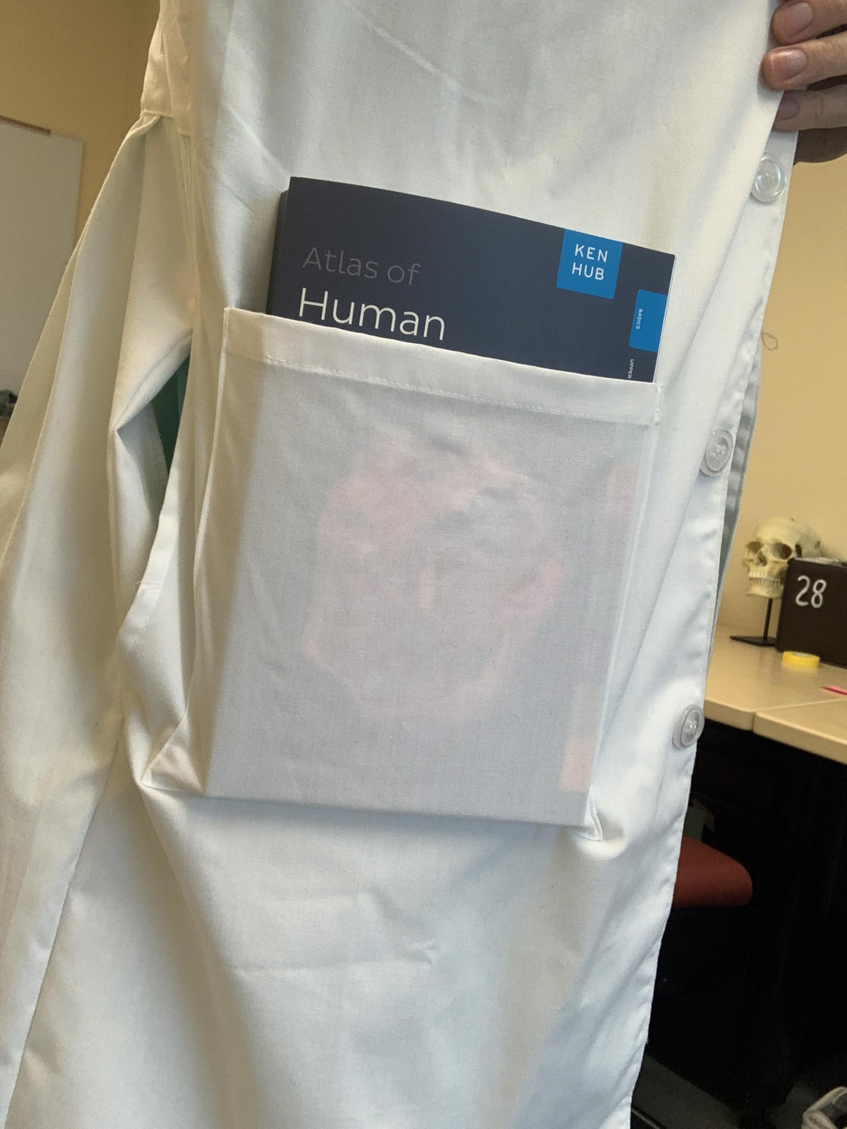 Kenhub Atlas of Human Anatomy