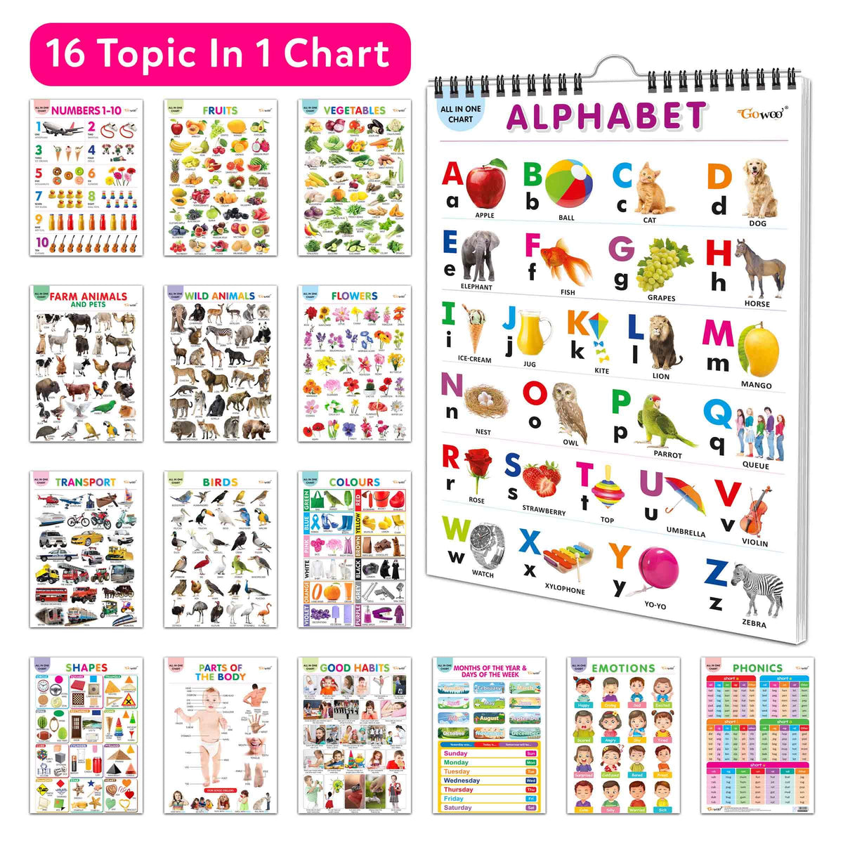 My First ALL IN ONE SPIRAL CHART : With 16 Topics ( Big Fonts and Realistic Pictures) | Gift Set For Kids